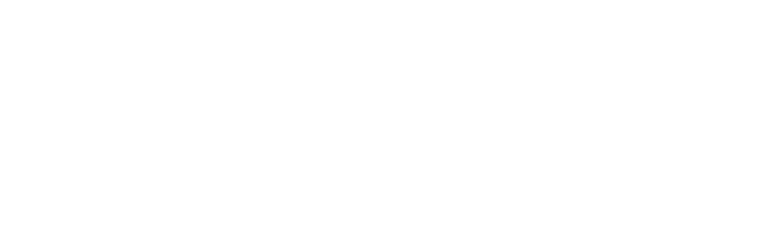 Finsckool